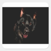 Black German Shepherd Vierkante Sticker (Voorkant)