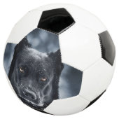 Black German Shepherd Voetbal (Drie kwart)