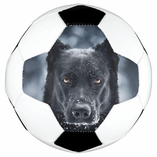Black German Shepherd Voetbal (Voorkant)