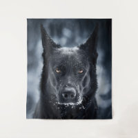 Black German Shepherd