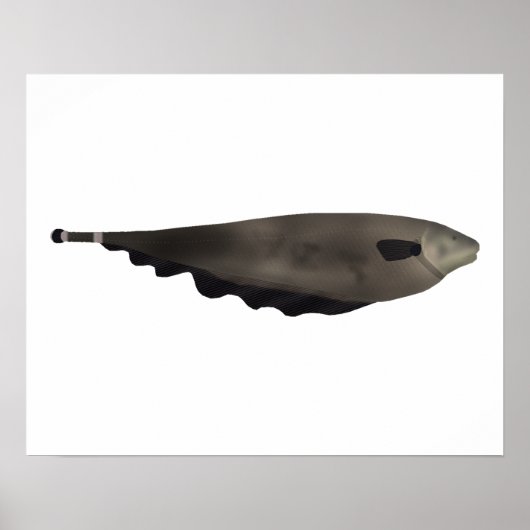 Black Ghost Poster (Voorkant)