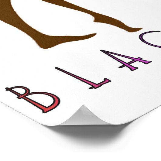 Black Girls Rock! Poster (Hoek)