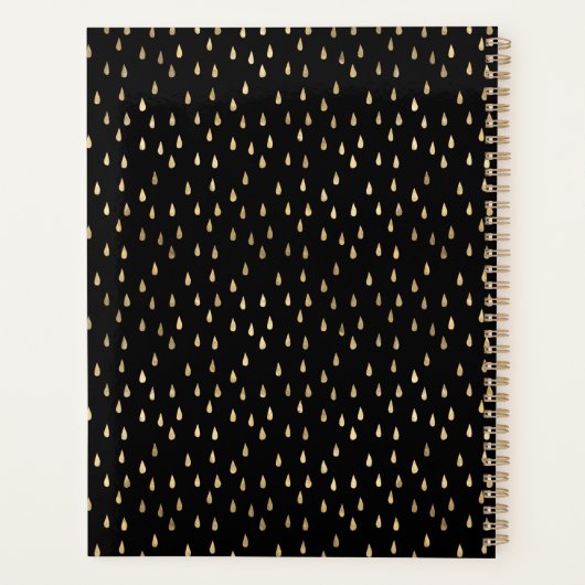 Black Gold Raindrop Modern Trendy Monogram Planner (Achterkant)