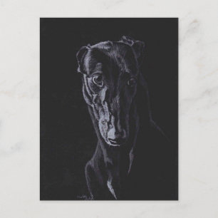 Black Greyhound Dog Art Briefkaart