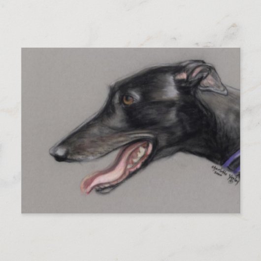 Black Greyhound Original Dog Art Briefkaart (Voorkant)