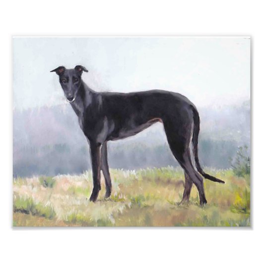 Black Greyhound Standing Dog Photo Print Foto Afdruk (Voorkant)