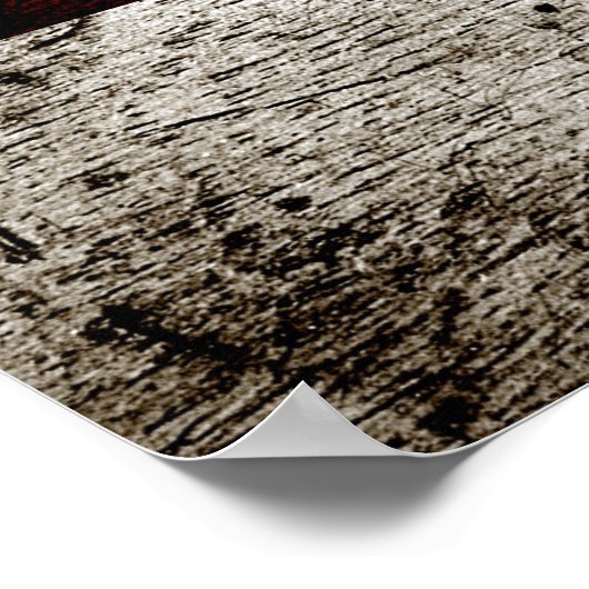 Black Grunge Washington DC Flag Poster (Hoek)