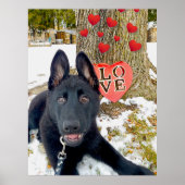 Black GSD Puppy met hart en grote liefdesValentijn Poster (Voorkant)