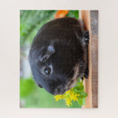 Black Guinea Pig Legpuzzel (Verticaal)