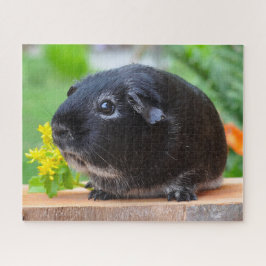 Black Guinea Pig Legpuzzel