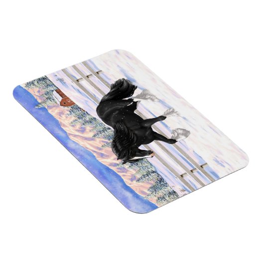 Black gypsy vanner Irish Cob Draft Horse in sneeuw Magneet (Rechterzijde)