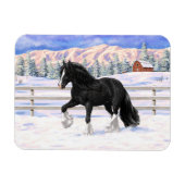 Black gypsy vanner Irish Cob Draft Horse in sneeuw Magneet (Horizontaal)