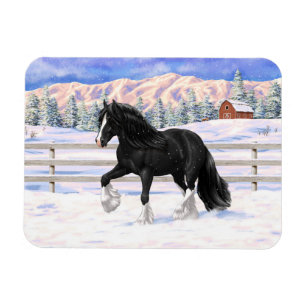 Black gypsy vanner Irish Cob Draft Horse in sneeuw Magneet