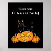 Black Halloween "Cat and Pumpkin" Poster (Voorkant)
