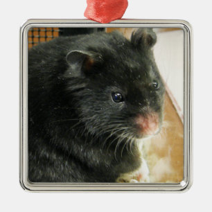 Black Hamster Photo Metalen Ornament