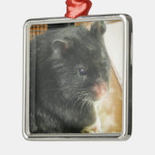Black Hamster Photo Metalen Ornament (Links)