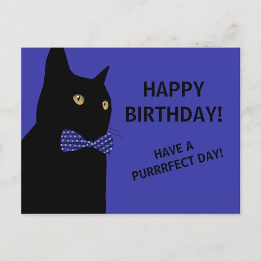 Black Happy Birthday Cat met een Blue Bow Stropdas Briefkaart (Voorkant)