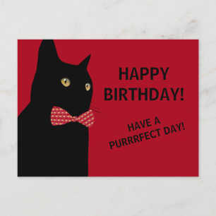 Black Happy Birthday Cat met een Stropdas met een  Briefkaart