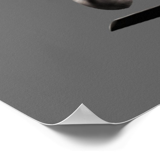 Black Hawk Poster (Hoek)