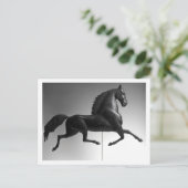 Black Hawk Weathervane Briefkaart (Staand voorkant)