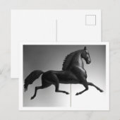 Black Hawk Weathervane Briefkaart (Voorkant / Achterkant)