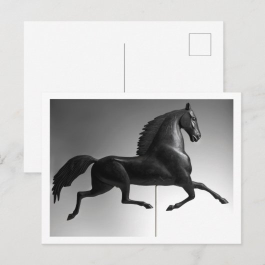 Black Hawk Weathervane Briefkaart (Voorkant / Achterkant)