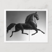 Black Hawk Weathervane Briefkaart (Voorkant)