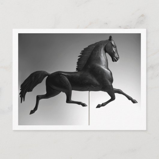 Black Hawk Weathervane Briefkaart (Voorkant)