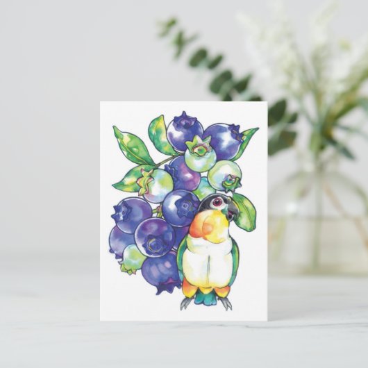 Black Head Caïque met Blueberry Briefkaart (Staand voorkant)