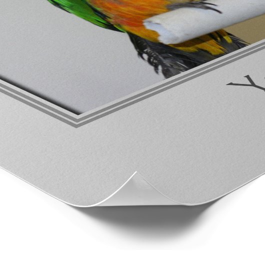 Black Headed Caïque Parrots gepersonaliseerd Poster (Hoek)