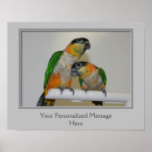 Black Headed Caïque Parrots gepersonaliseerd Poster (Voorkant)
