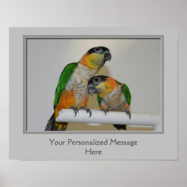 Black Headed Caïque Parrots gepersonaliseerd Poster