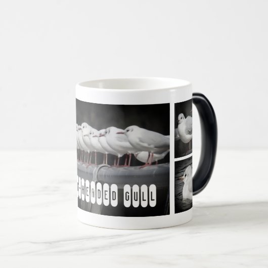 Black-headed Gull：Morfing Mag Magische Mok (Voorkant rechts)