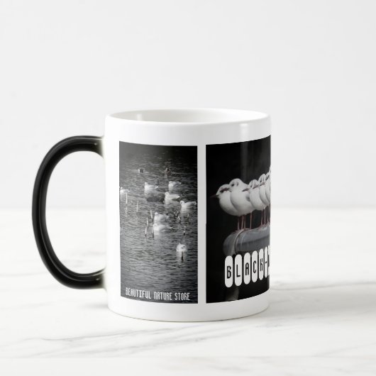 Black-headed Gull:Morfing Mag Magische Mok (Links)