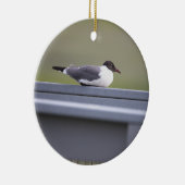 Black-headed Gull Ornament (Rechts)