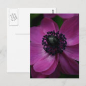 Black Heart 2 Floral Photography Briefkaart (Voorkant / Achterkant)