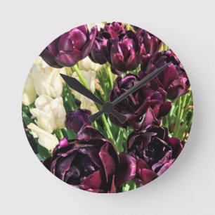 Black Hero Tulips, Oregon Ronde Klok