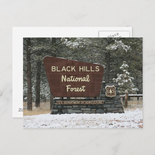 Black Hills National Forest Briefkaart (Voorkant / Achterkant)