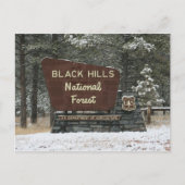 Black Hills National Forest Briefkaart (Voorkant)
