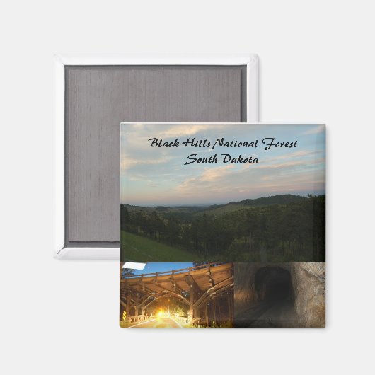 Black Hills National Forest Magneet (Voorkant / Achterkant)