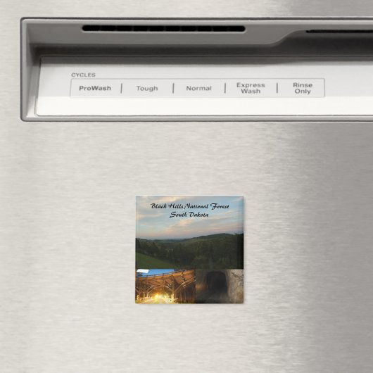 Black Hills National Forest Magneet (Insitu (Vaatwasser))