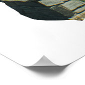 Black Hills National Forest Poster (Hoek)