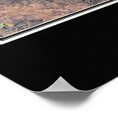 Black Hills National Forest South Dakota Satellite Poster (Hoek)