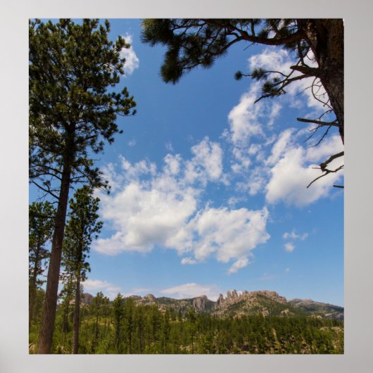 Black Hills, omgevormd door Trees, South Dakota Poster (Voorkant)