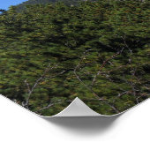 Black Hills Panoramic 53 Poster (Hoek)