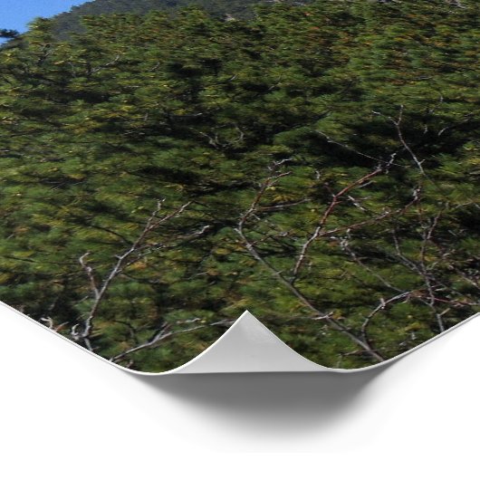 Black Hills Panoramic 53 Poster (Hoek)