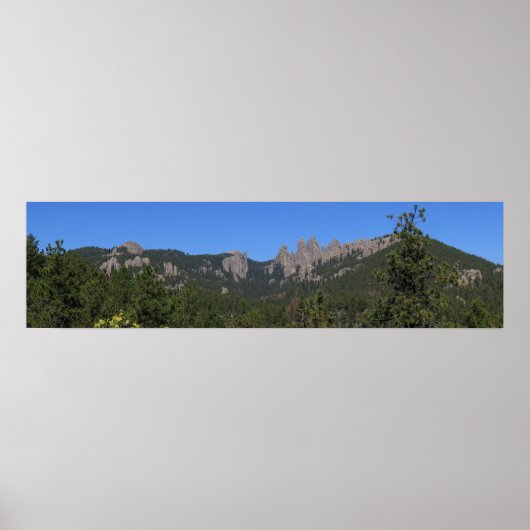 Black Hills Panoramic 53 Poster (Voorkant)