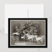 Black Hills Treasure Coach  Briefkaart (Voorkant / Achterkant)