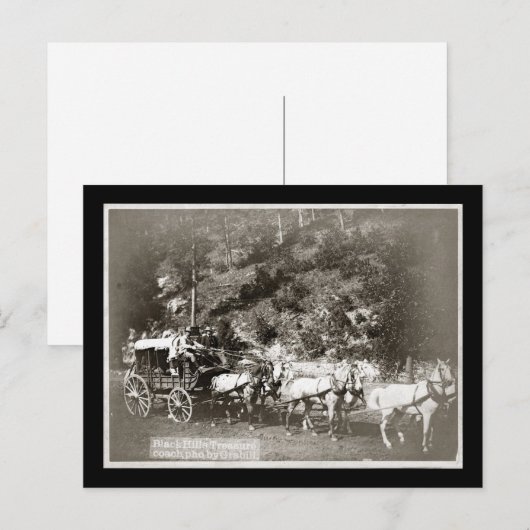 Black Hills Treasure Coach  Briefkaart (Voorkant / Achterkant)