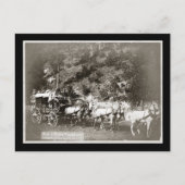 Black Hills Treasure Coach  Briefkaart (Voorkant)